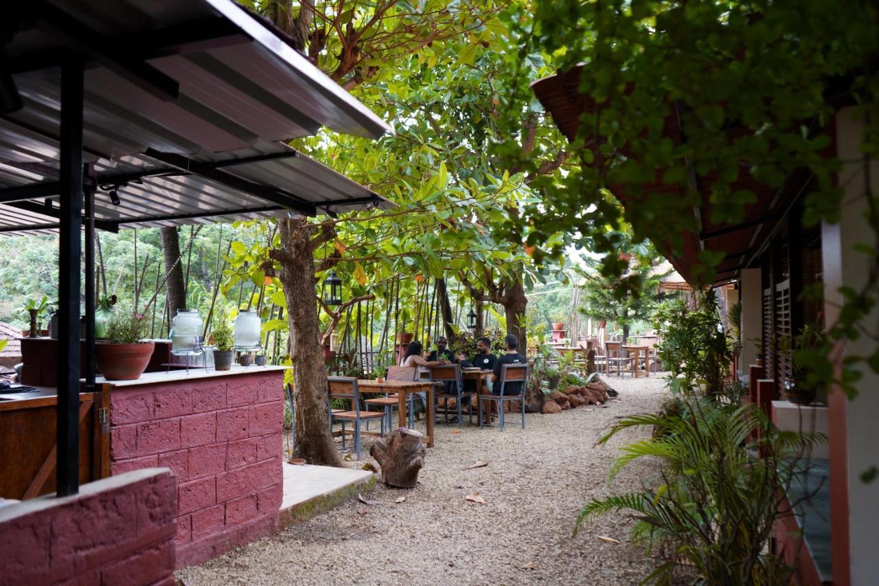 Terraria Stay And Cafe Canacona Exterior foto